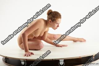 Various reference of Irma